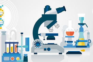 黑坑钓鱼小药自制全攻略 因地制宜调配，精准应对不同鱼情